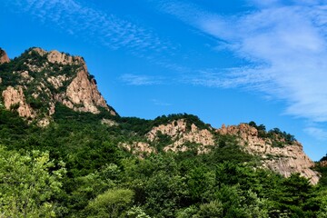 High rocky mountains covered with green trees on a sunny day