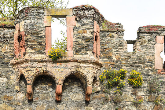 Mauer aus dem Naturstein Schiefer, mit Erker mit Sandstein eingefasst, aus dem Mittelalter, auf der gelbe Blumen blühen.