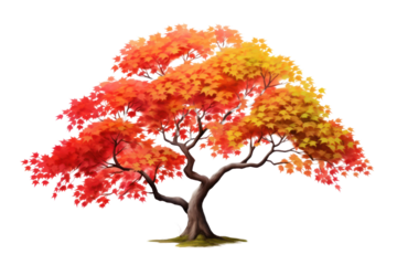 Anime style tree with colorful leaves Slender stem. Isolated on transparent background.