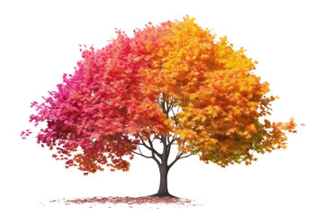 Anime style tree with colorful leaves Slender stem. Isolated on transparent background.