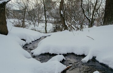 Small river in a forest covered with snow on a cold winter day