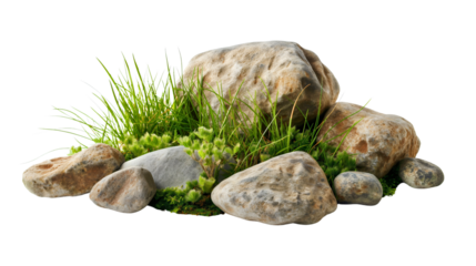 Closeup of nature lichen stone rocks with green grass cut out isolated transparent background