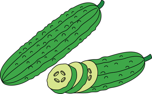 green cucumbers whole and sliced clip art preview