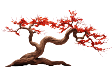 red leaves, twisted trunk. Isolated on transparent background. Isolated on transparent background.