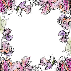 Hand drawn watercolor ink illustration botanical flowers leaves. Sweet everlasting pea, vetch bindweed legume tendrils. Border frame isolated white background. Design wedding, love cards, floral shop