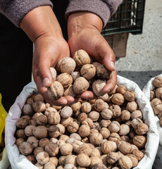 Walnuts are sold at the market. Hands are full of walnuts.