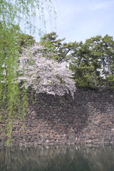 日本、東京の皇居のお堀の風景