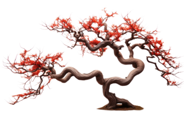 red leaves, twisted trunk. Isolated on transparent background. Isolated on transparent background.