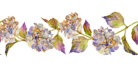 Hand drawn watercolor illustration shabby boho botanical flowers leaves. Hydrangea hortensia purple withered inflorescence stems. Seamless banner isolated white background. Design wedding, love cards