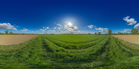 in the center of a green field lampertheim germany hessen 360° vr environment equirectangular
