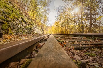 View of old railroad tracks in the forest in autumn