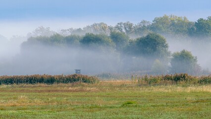 Fototapeta na wymiar Beautiful green countryside on a misty day