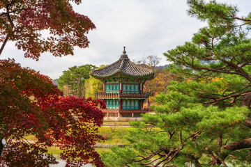 Gyeongbokgung Palace Garden Pavilion Amidst Ancient Trees in autumn, South Korea 