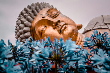 Buddha head lying with flowers