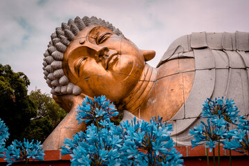 Buddha lying down with hand on head and flowers