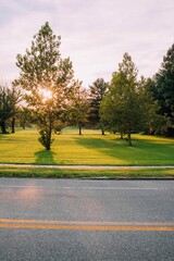 Fototapeta premium Vertical view of a road before the grass and trees at sunset