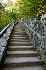 Vertical shot of the steps in the nature