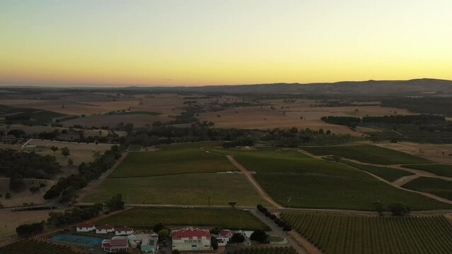 Sunrise in Barossa Valley of South Australia – aerial flying at vineyards as 4k.
