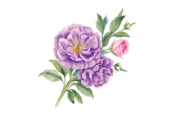 watercolor purple rose clipart illustration with leaves and a green leaf on white background.