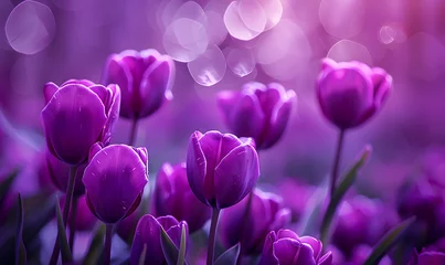 Gordijnen purple tulips in the foreground, Generative AI © simba kim