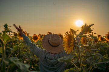 A woman in a straw hat is holding a sunflower. Concept of warmth and happiness, as the woman is...