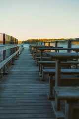 Vertical shot of benches row on wooden trail