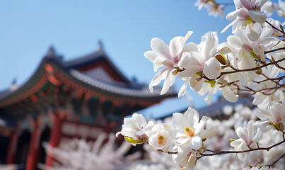 A white magnolia tree blooms in front of the temple, Generative AI