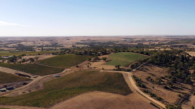 Vineyards of farms in Barossa valley of South Australia – aerial landscape as 4k.
