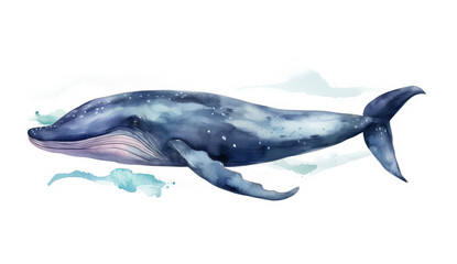 Majestic Blue Whale Watercolor Painting isolated on a white background