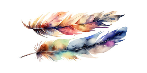 Watercolor Drawing Of Vibrant Bird Feathers