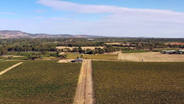 Aerial sunrise over Barossa valley in South Australia - vineyards and hill ranges.
