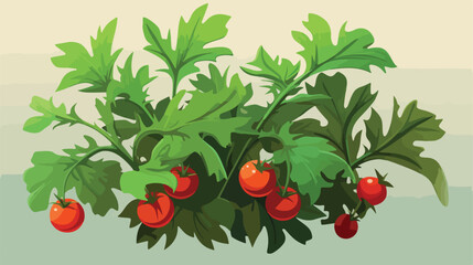 Close up of tomato plant leaves 2d flat cartoon vac