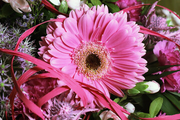 Gerbera Daisy Flowers bacgkround. Closeup bouquet. Dreamy bright floral background. Pink pastel...