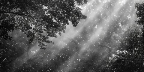 A dramatic black and white photo of a rain storm. Suitable for weather-related concepts