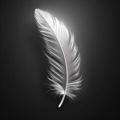 Single Delicate Feather on Dark Background