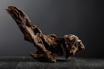 Old dry wooden snag on a black stone table. - obrazy, fototapety, plakaty