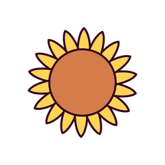 Sunflower Icon Vector Illustration. Sunflower Lineal Color Icon