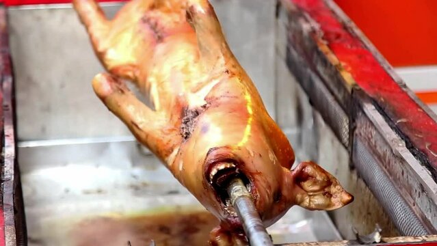Suckling pig roasted using an automatic machine close up, street food