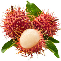Rambutan and dragon fruit isolated on white background: A tropical fruit composition showcasing fresh rambutan and dragon fruit with vibrant colors and unique textures