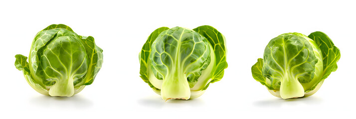 Fresh Raw Brussels Sprouts, Isolated on White Background. 