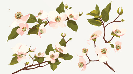 Dogwood Tree Flower Blooms Clipart 2d flat cartoon
