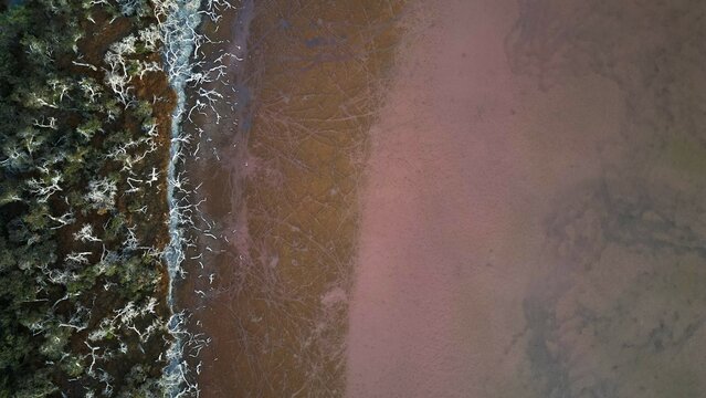 Pink salt lake shore.