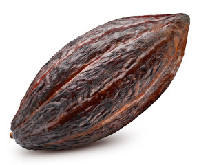 Cocoa bean with clipping path. Cocoa pods isolated on a white background - 784400281