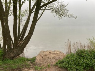 Trostlose Landschaft bei Nebel am Fluss Mosel in Kröv