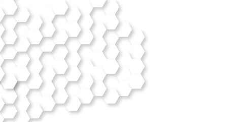 Background with hexagons . Abstract background with lines . white texture background . white and hexagon abstract background. white paper texture and futuristic business .