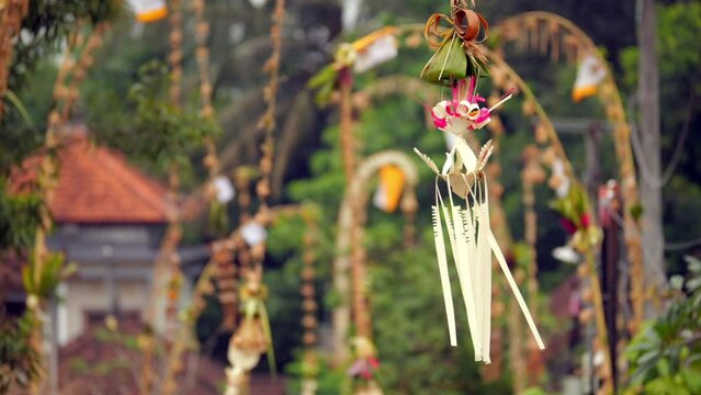 During celebrations, Balinese people adorn village streets with bamboo poles called penjor, varying in size and decorations. Small sampian is seen hanging on rope, gently swaying in slow motion.