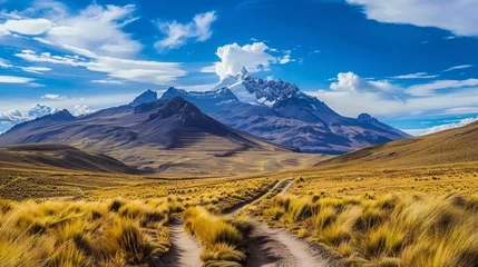 Draagtas The rugged trails of the Andes in Bolivia during summer, vibrant landscapes and clear skies, --ar 16:9 © mogamju