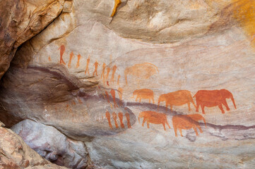 Cederberg rock art