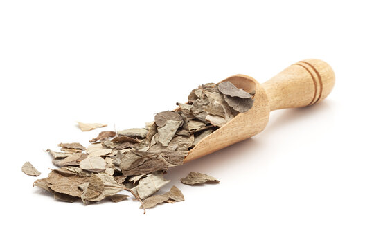 Front view of a wooden scoop filled with Organic Moringa (Moringa oleifera) leaves. Isolated on a white background.