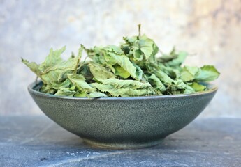 Dried leaves of Aegopodium podagraria n a bowl. Commonly called ground elder or bishop´s weed. It is used in traditional medicine for painful joints.